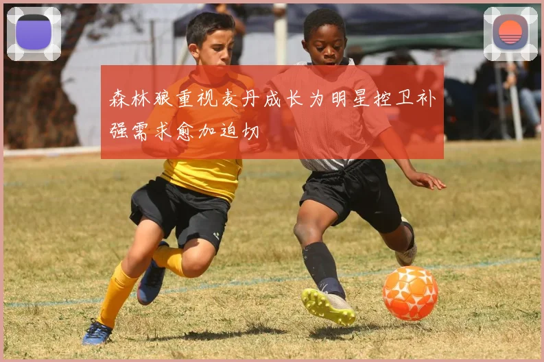 森林狼重视麦丹成长为明星控卫补强需求愈加迫切